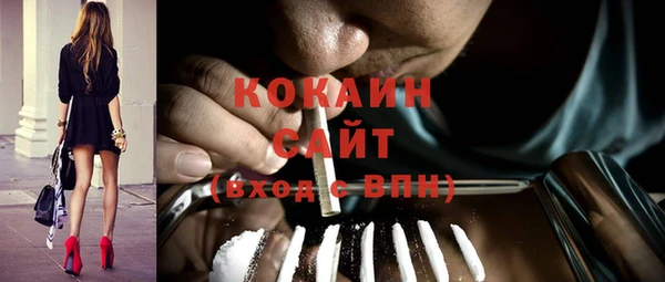 индика Вязники