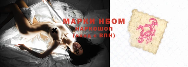 прущие грибы Белокуриха
