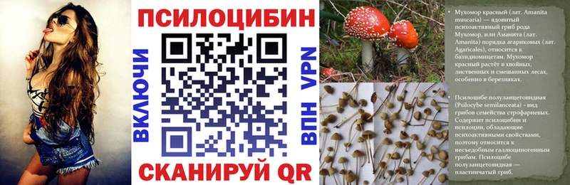 Галлюциногенные грибы ЛСД Малая Вишера